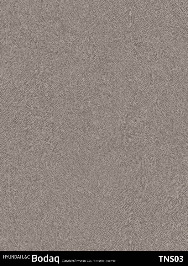 TNS03 Gray Leather Interior Film - Leather Collection